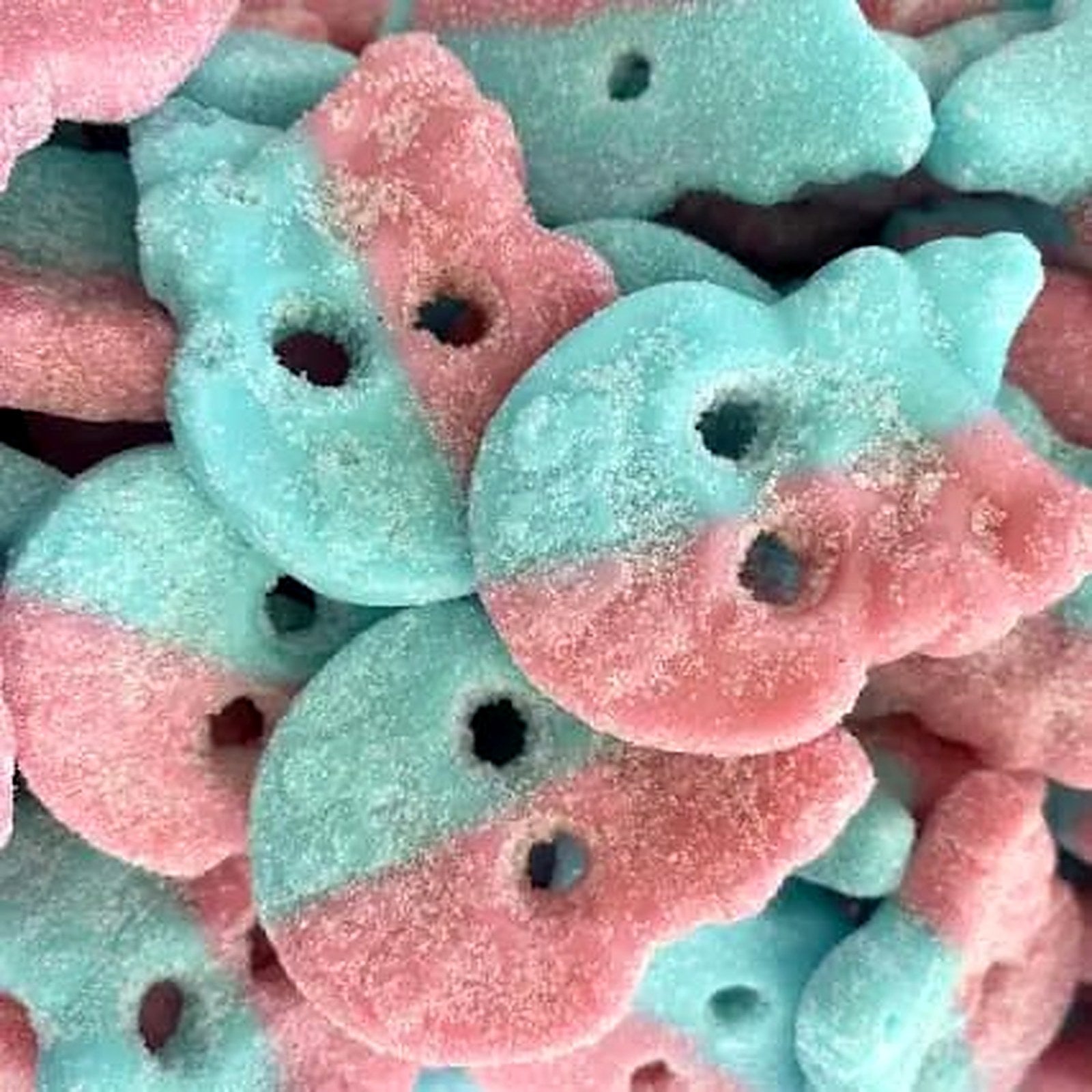 Zure beertjes in tweekleurig blauw en roze met zuurzand