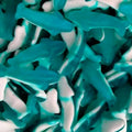 Blauwe haaien van gom met witte buik