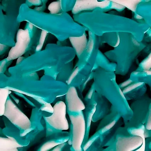 Blauwe haaien van gom met witte buik